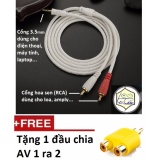 Cáp loa jack 3.5mm ra 2 đầu bông sen av dài 5m jsj tặng jack chia av 1 ra 2