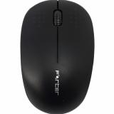 Chuột không dây forter v181