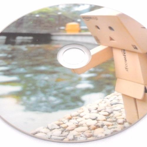 Đĩa DVD trắng Intact DVD White Inkjet Printable 100 đĩa(16X)