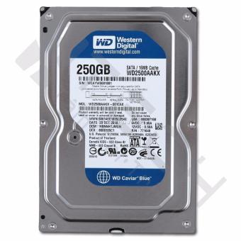 HDD 250G Western ( Blue ) Máy tính để bàn  