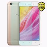 Kính cường lực Vivo Y55