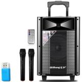 Loa bluetooth karaoke xách tay 120W QiSheng LX-L81 có 2 micro không dây kèm theo và tặng Đầu đọc thẻ nhớ