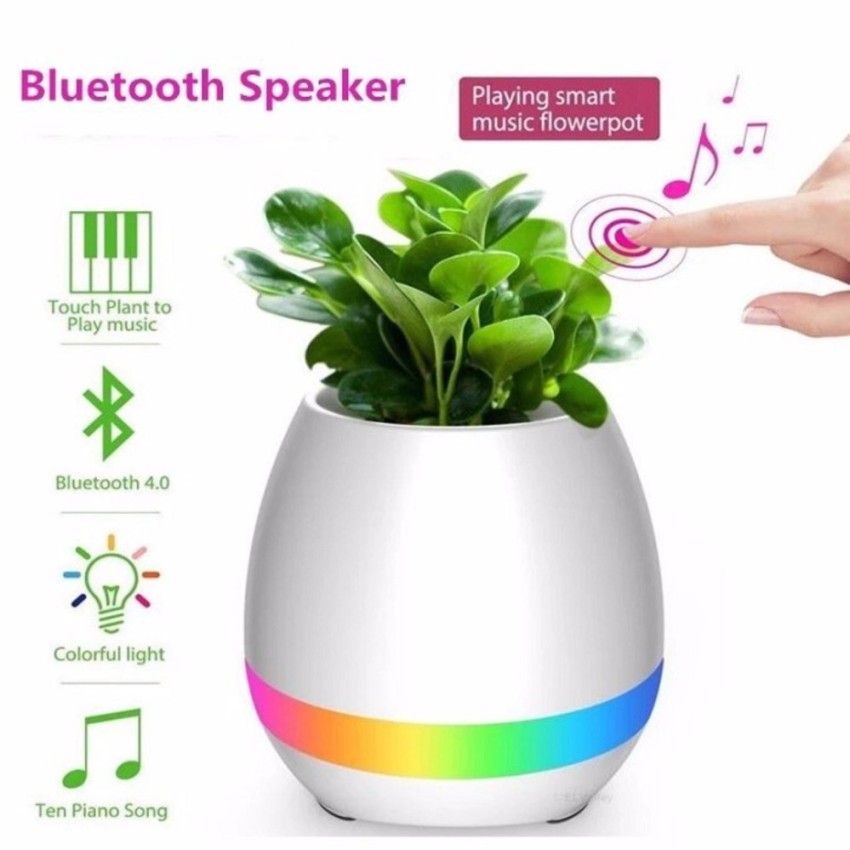 Hình ảnh LOA BLUETOOTH KIÊM CHẬU TRỒNG CÂY, ĐÈN NGỦ