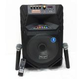 Loa di động kéo hynlidai ml-101 bass 30 + 2 micro