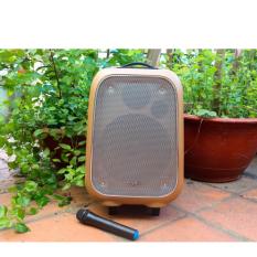 Loa du lịch soundmax M6