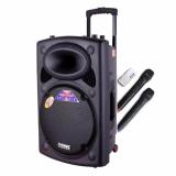Loa kéo bluetooth Temeisheng DP-2305L