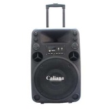 Loa kéo caliana Electronics T012 - 3 tấc