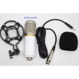 Mic thu âm máy tính BM-800A Hàng Cty ( Trắng )