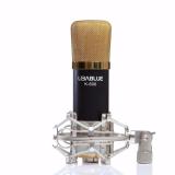 Micro karaoke cho máy tính LibaBlue K-600