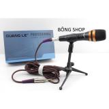 Micro karaoke guang le gl-3900