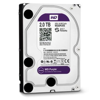 Ổ cứng HDD 2TB WD Purple - Hàng nhập khẩu  