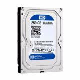 Ổ cứng máy tính bàn 250gb  WD ( sata )