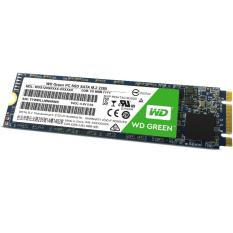 Đánh Giá Ổ cứng SSD WD GREEN WDS240G1G0B M2 – 240GB   Công ty máy tính Nova