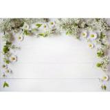 [HCM]Phông nền chụp hình 3D (mẫu hoa cúc trắng) size 50cmx75cm