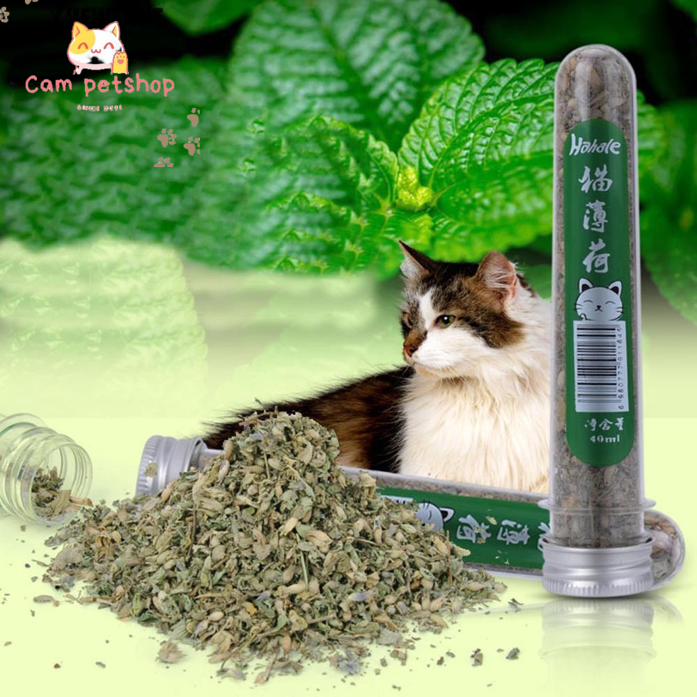 Cỏ mèo khô,cỏ mèo bạc hà catnip cho mèo ,cỏ thơm cho mèo