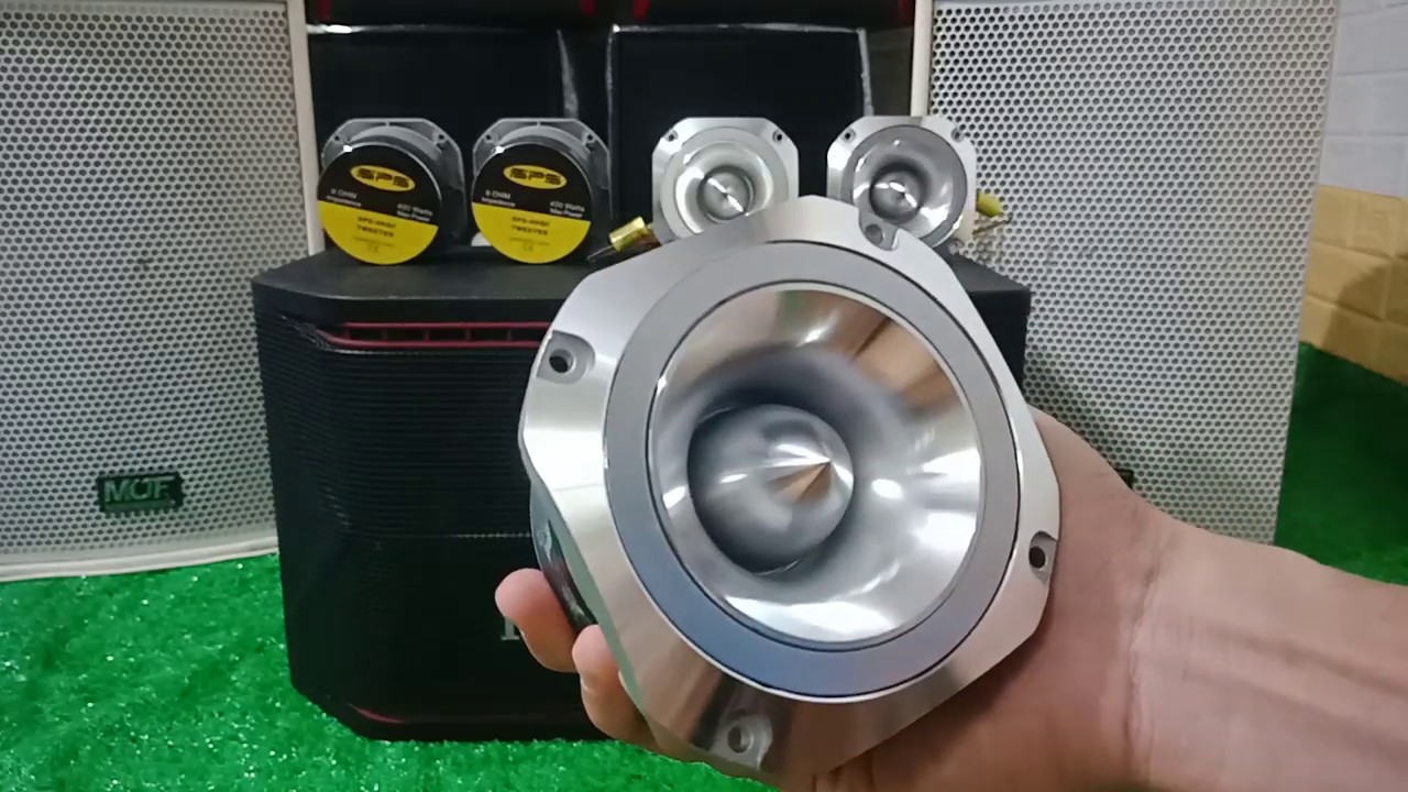 loa tép rời pioneer
