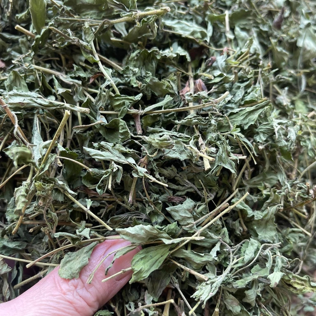 Trà cỏ ngọt hữu cơ sấy lạnh giảm cân (500g, 1kg) đường ăn kiêng 0 calo. Lá cỏ ngọt sấy khô pha trà