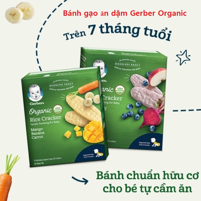 Bánh gạo Gerber Organic giúp bé tập nhai, tăng khả năng cầm nắm và ăn uống tự lập hơn (trẻ từ 7 tháng tuổi trở lên)