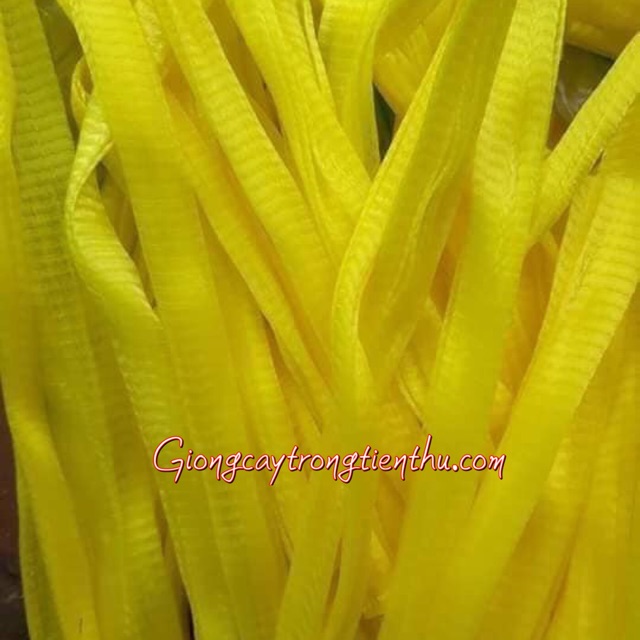 Lưới lót chậu trồng phong lan 20 cái