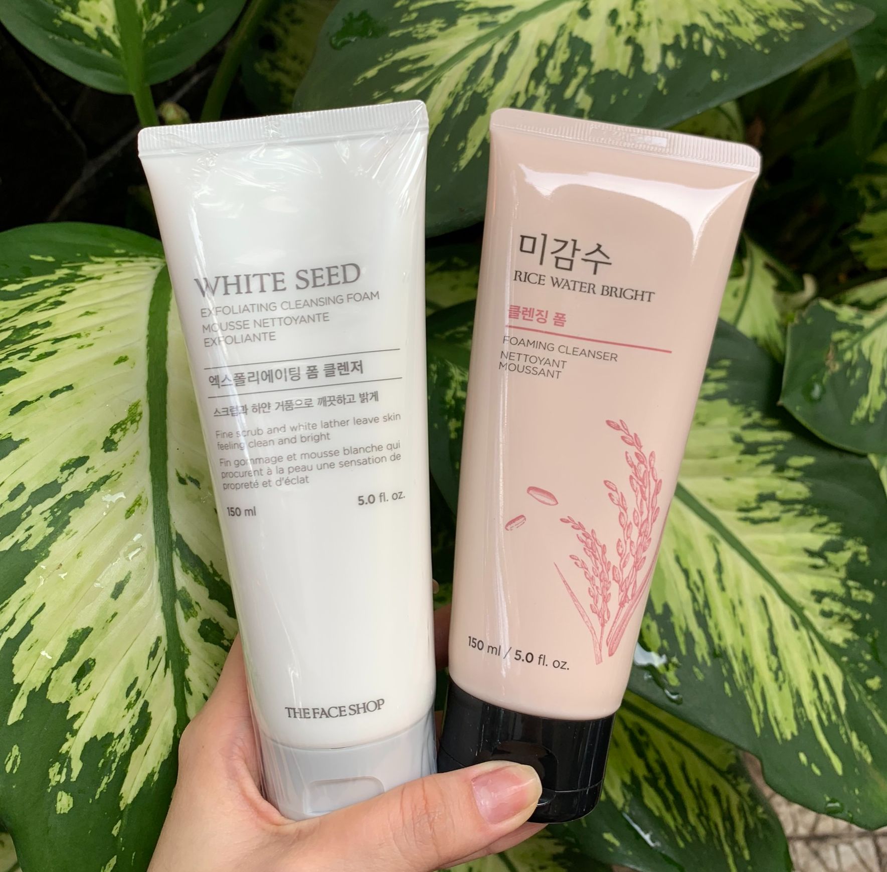 Sữa rửa mặt gạo the face shop 150ml - sữa rửa mặt white seed trắng da 150ml