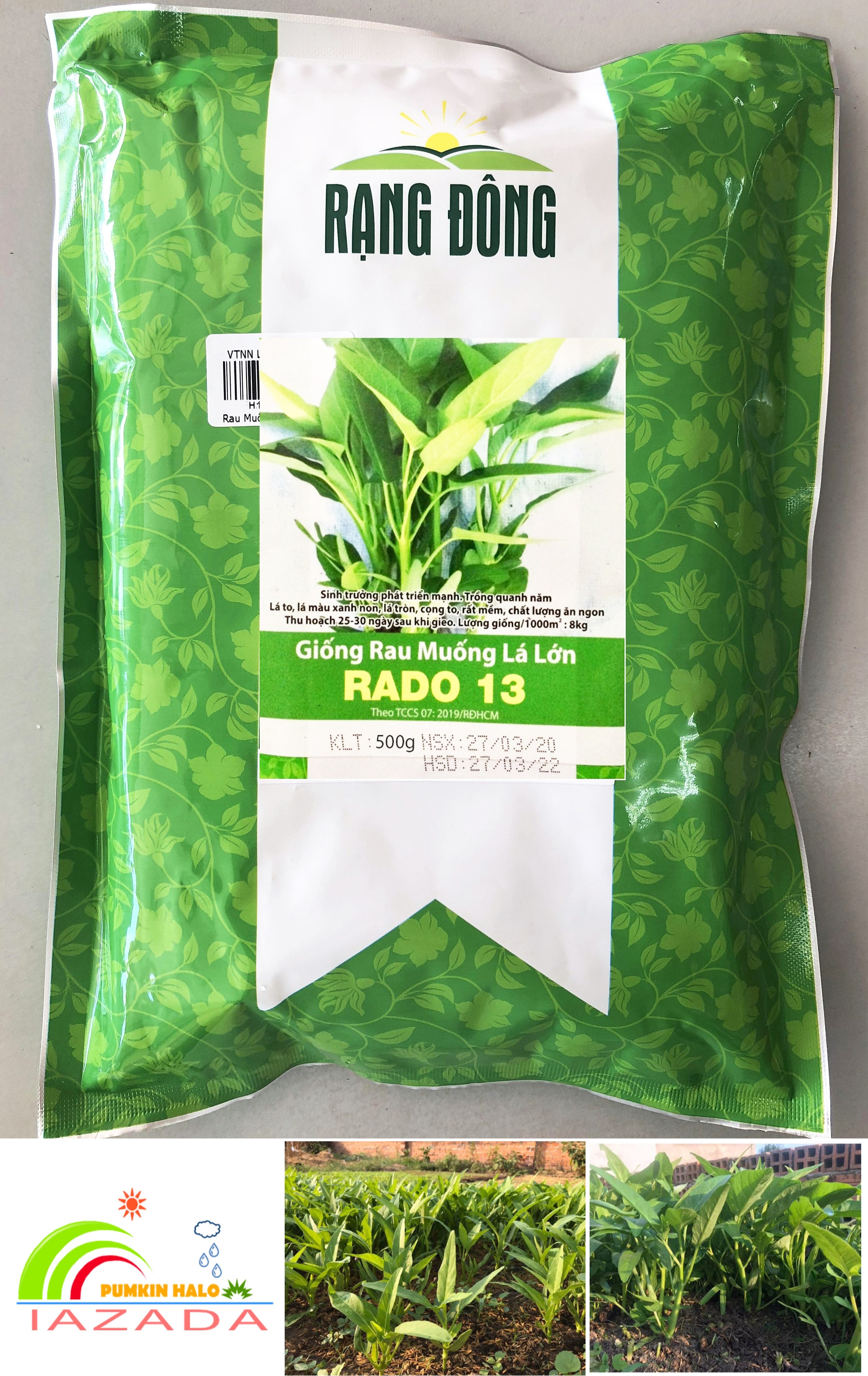 [HCM]Gói 0.5kg- Hạt Giống Rau Muống Lá Lớn Dễ Trồng Năng Suất Cao
