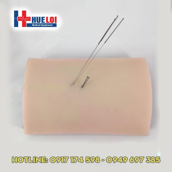 Mô hình da người châm cứu