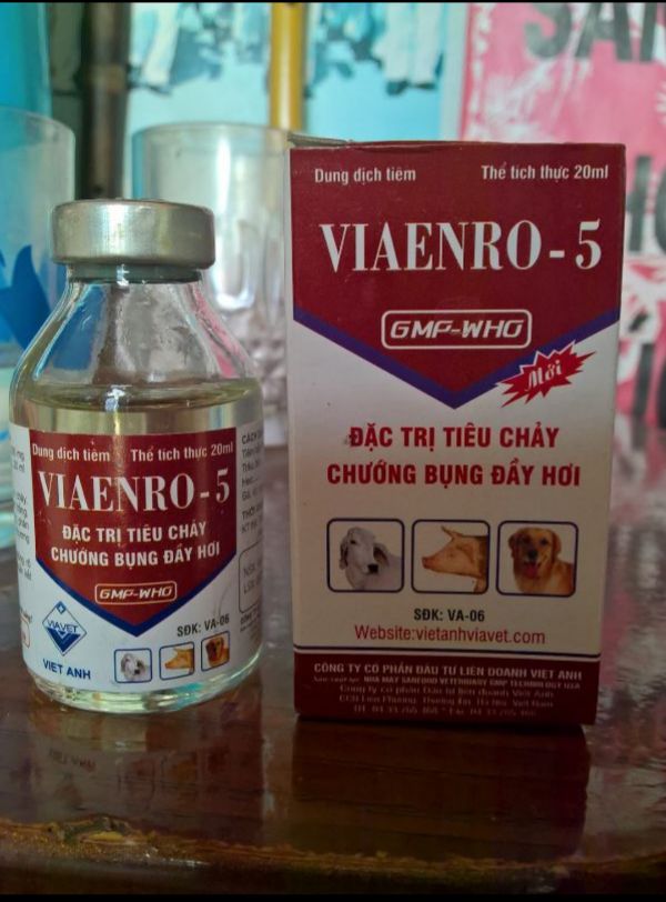 Viaenro 5 20ml t rị tiêu chảy chướng bụng lợn, chó- gà - 192
