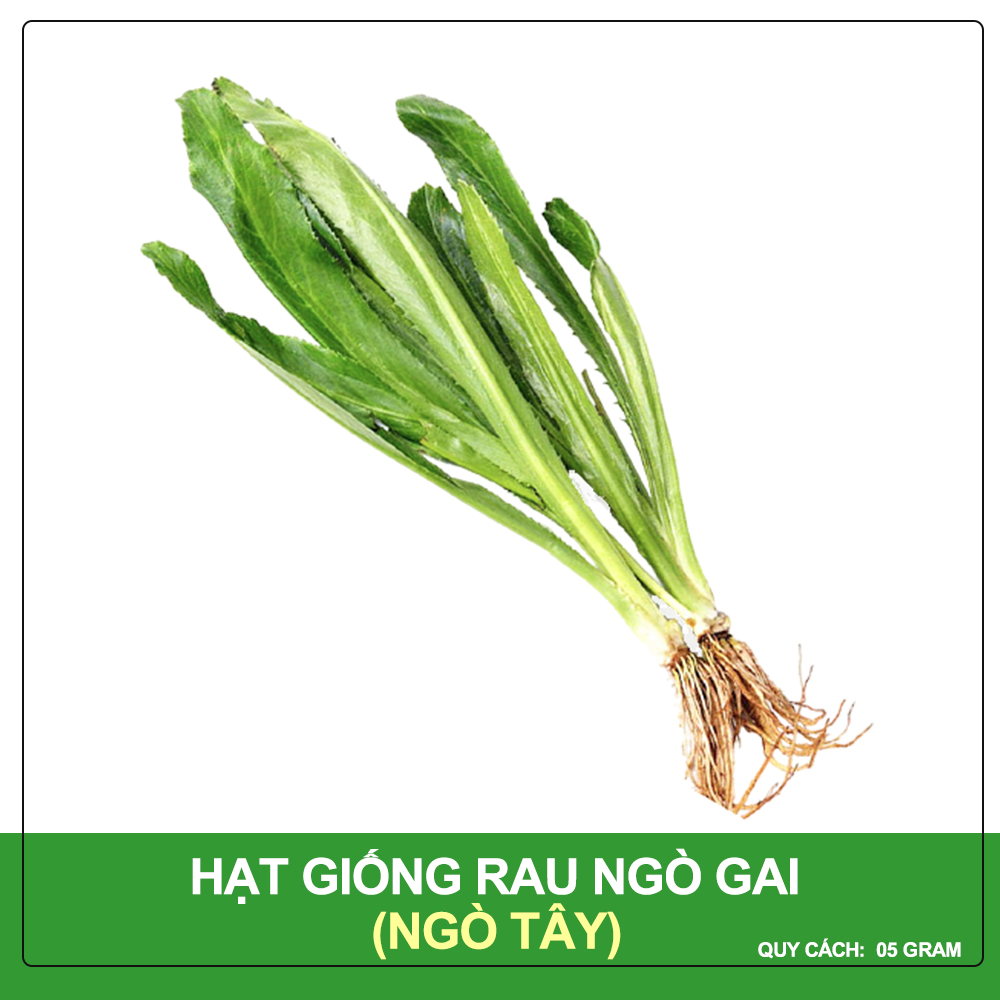 Hạt Giống Ngò Gai Phú Nông Gói 5 Gram