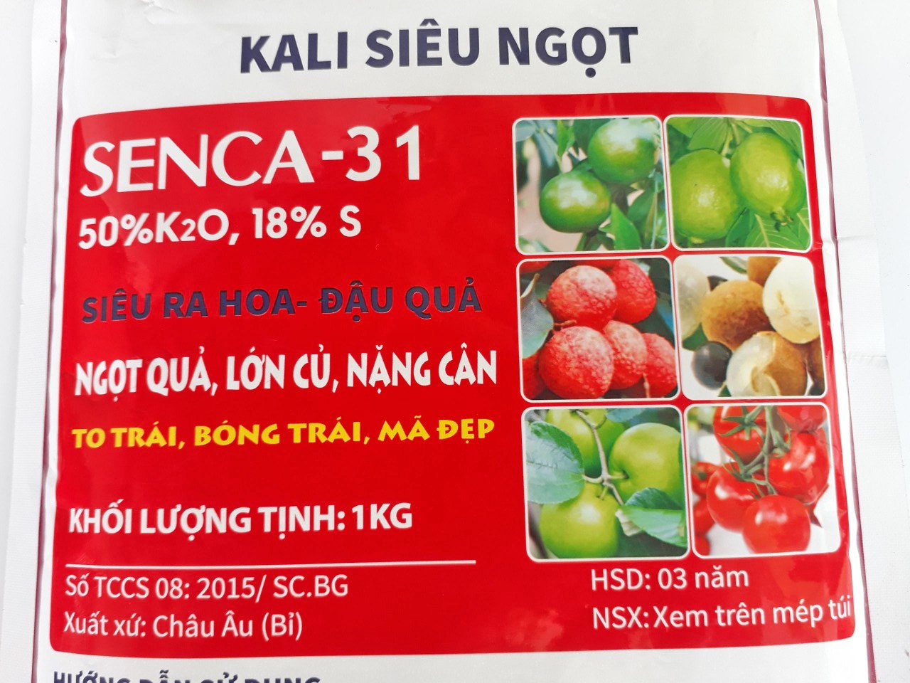 Kali siêu ngọt sai hoa đậu quả - tạo ngọt - lớn củ nặng cân senca 31 1kg