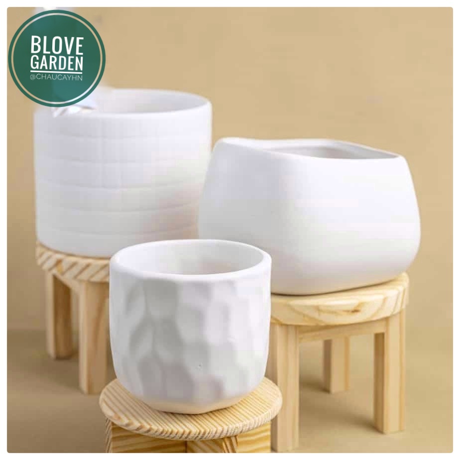 Chậu sứ mắt na mini cao 8cm trồng sen đá xương rồng cây cảnh để bàn