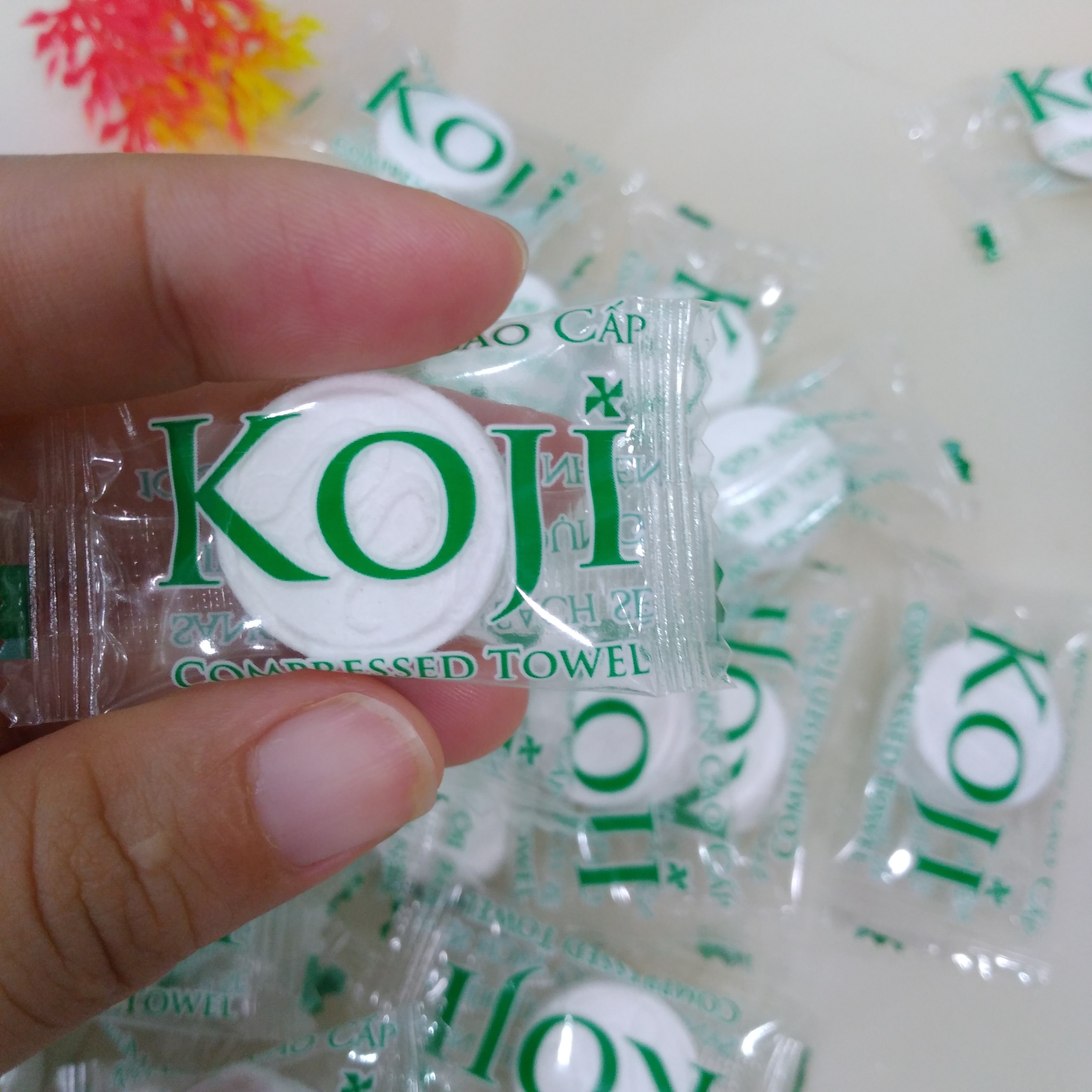 100 khăn nén cao cấp dạng viên kẹo rời koji
