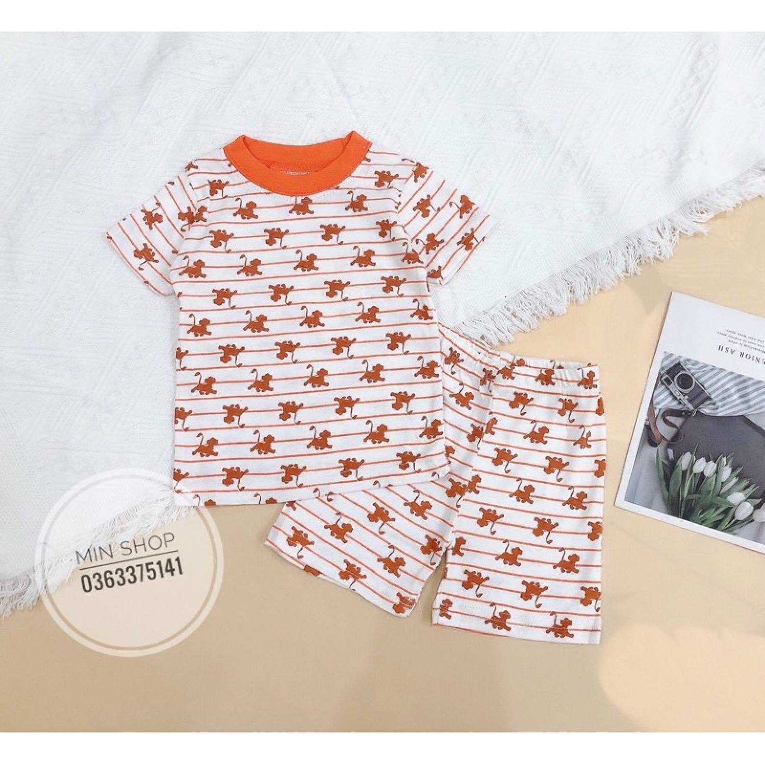 Bộ đồ bé trai 6-17kg ( kẻ cam)