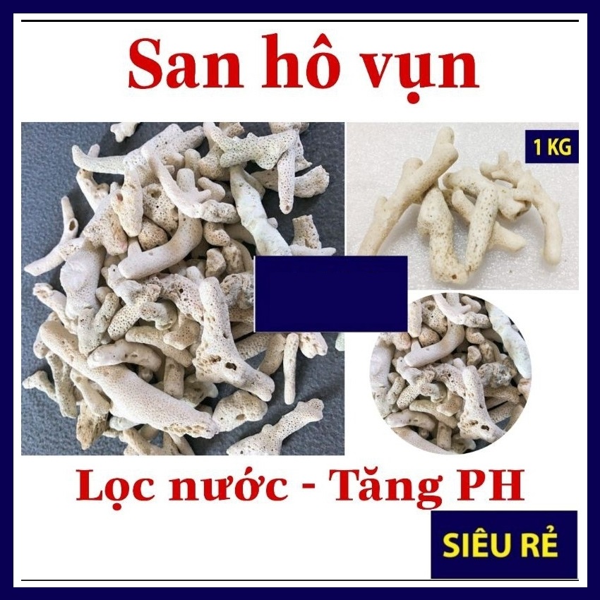 San hô vụn lọc nước tăng pH cho bể cá 10kg