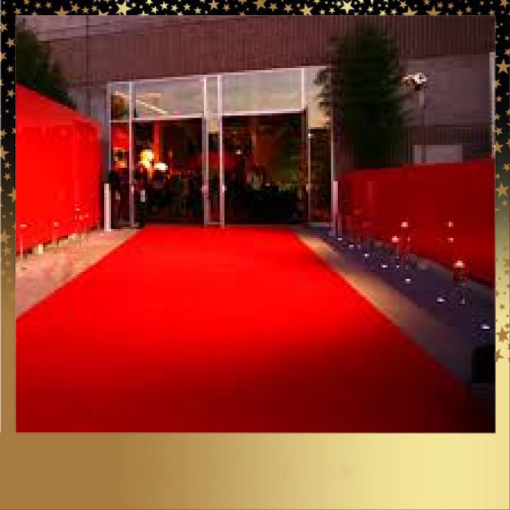 Thảm Nỉ Trải Sàn Giá Rẻ  Khồ 200cmx 50cm