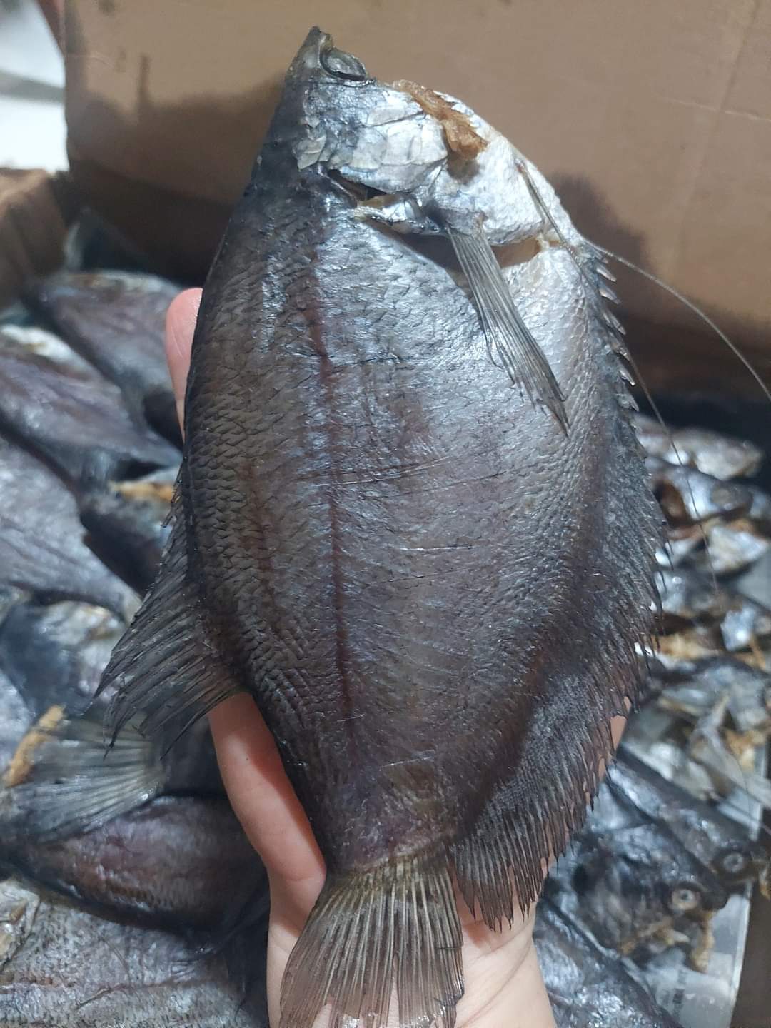 1kg Khô cá sặc 3 nắng, size cá lớn 7-8 con 1kg vị vừa ăn, chắc thịt, thơm ngon, khô lò tho, khô sặc rằn, Vựa Khô Bà Chín