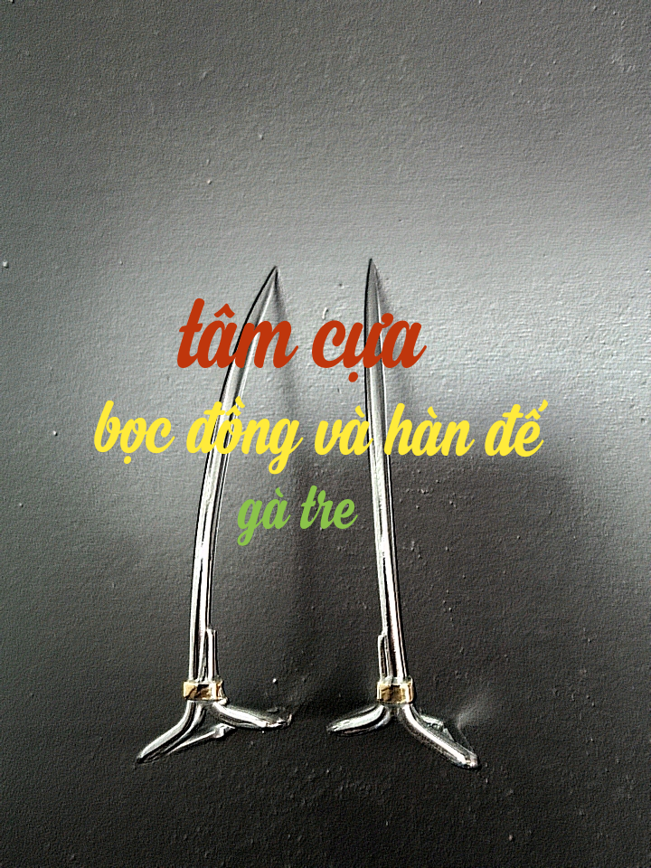 [HCM]cựa gà tre 42(lai máu) thép mỹthông mànhbọc đồng và hàn đếTâm cựa