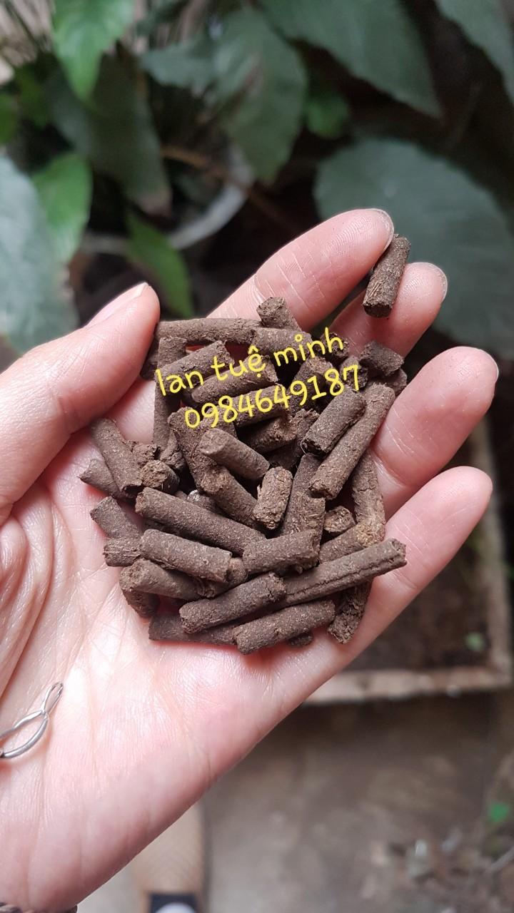 5 kg phân trùn quế dạng viên loại đẹp