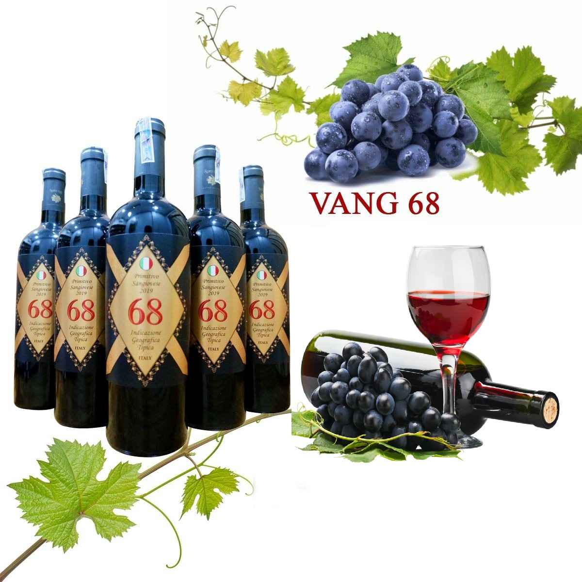 Vang Ý 68 nhập khẩu chính hãng