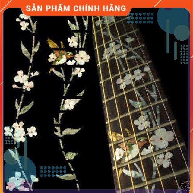 Dán khảm cần đàn guitar hình chim hút mật- Miếng dán lớn MS6 - Nhaccu3so