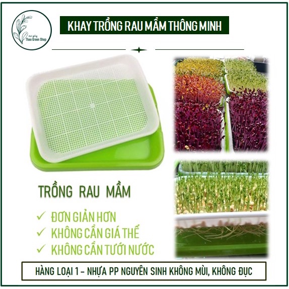 Khay Trồng Rau Mầm Thông Minh Không Cần Giá Thể