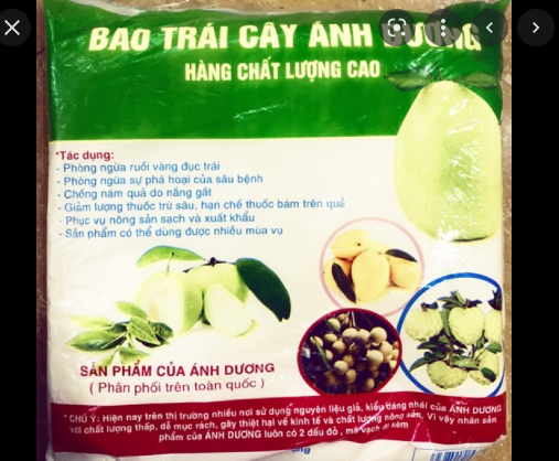 TÚI BỌC BƯỞI - TÚI BỌC TRÁI CÂY ÁNH DƯƠNG 100 cái/túi (Kích thước 30*30cm)