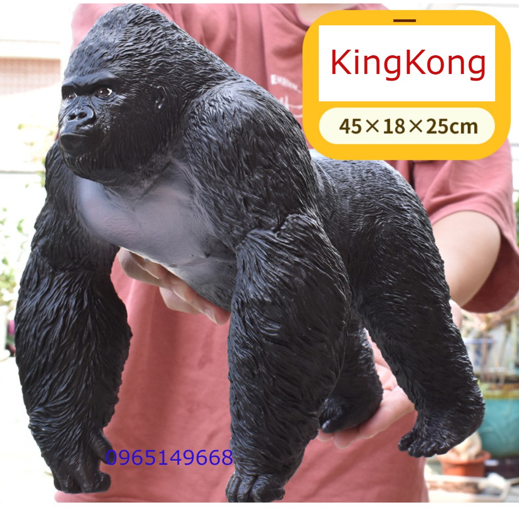 Kong tái chiến Godzilla  VnExpress Giải trí