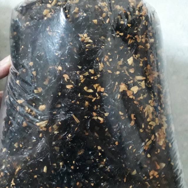 500 gram Rong Biển Cháy Tỏi- chik food