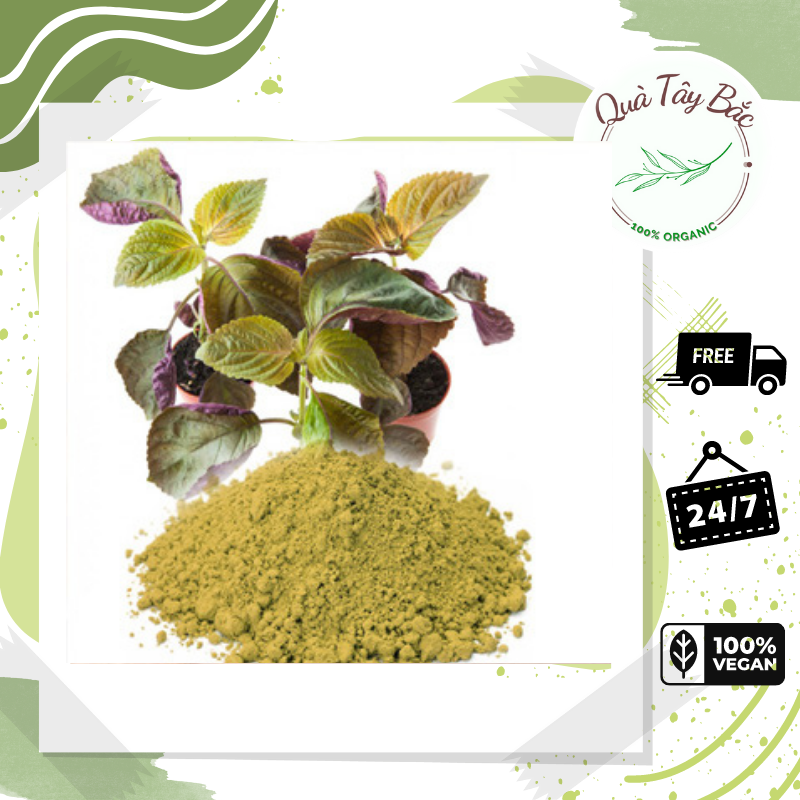 [ HOÀN TIỀN 10% ]Bột Lá Tía Tô Sấy Lạnh Nguyên Chất  Organic Hộp 500G Quà của núi rừng.Đảm bảo 100% tự nhiên không chất bảo quản