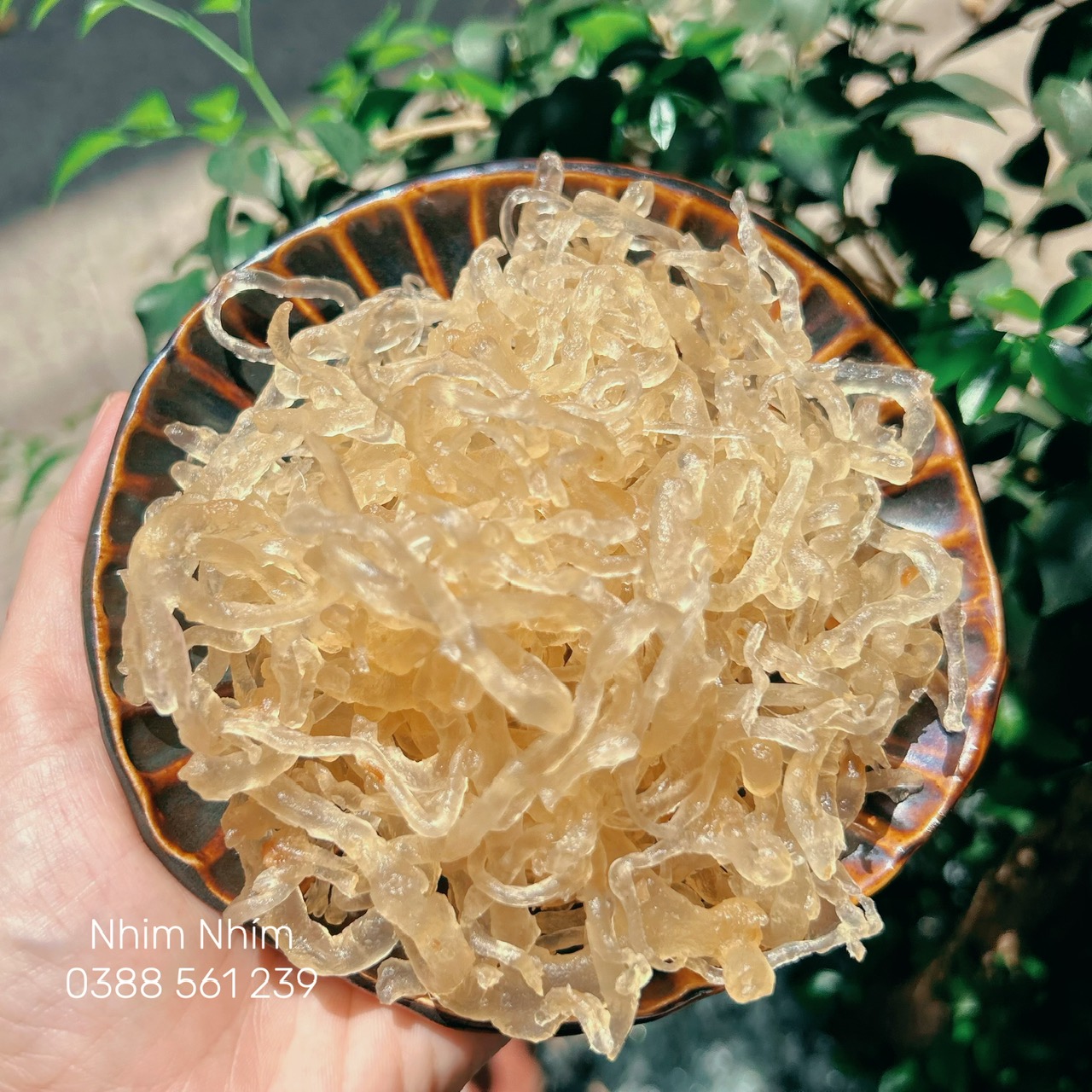 Mứt rong sụn nguyên sợi vị gừng tươi ít ngọt giàu vitamin phù hợp ăn kiêng