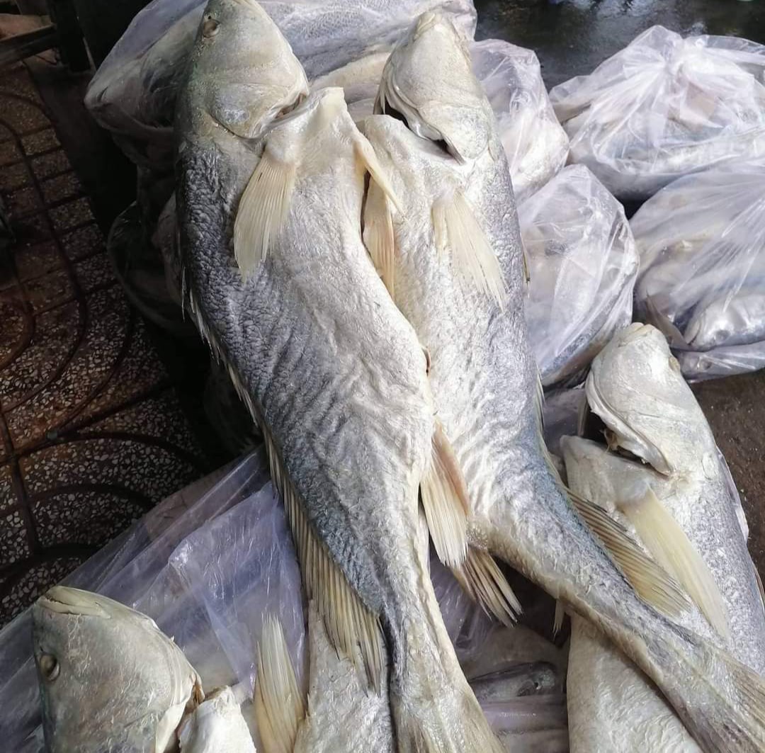 Khô cá mặn, khô cá sửu, mắm cá ốp,thịt Cá sửu ít xương, không có xương vụn, thịt ngon, ngọt làm được nhiều món, Vựa Khô Bà Chín