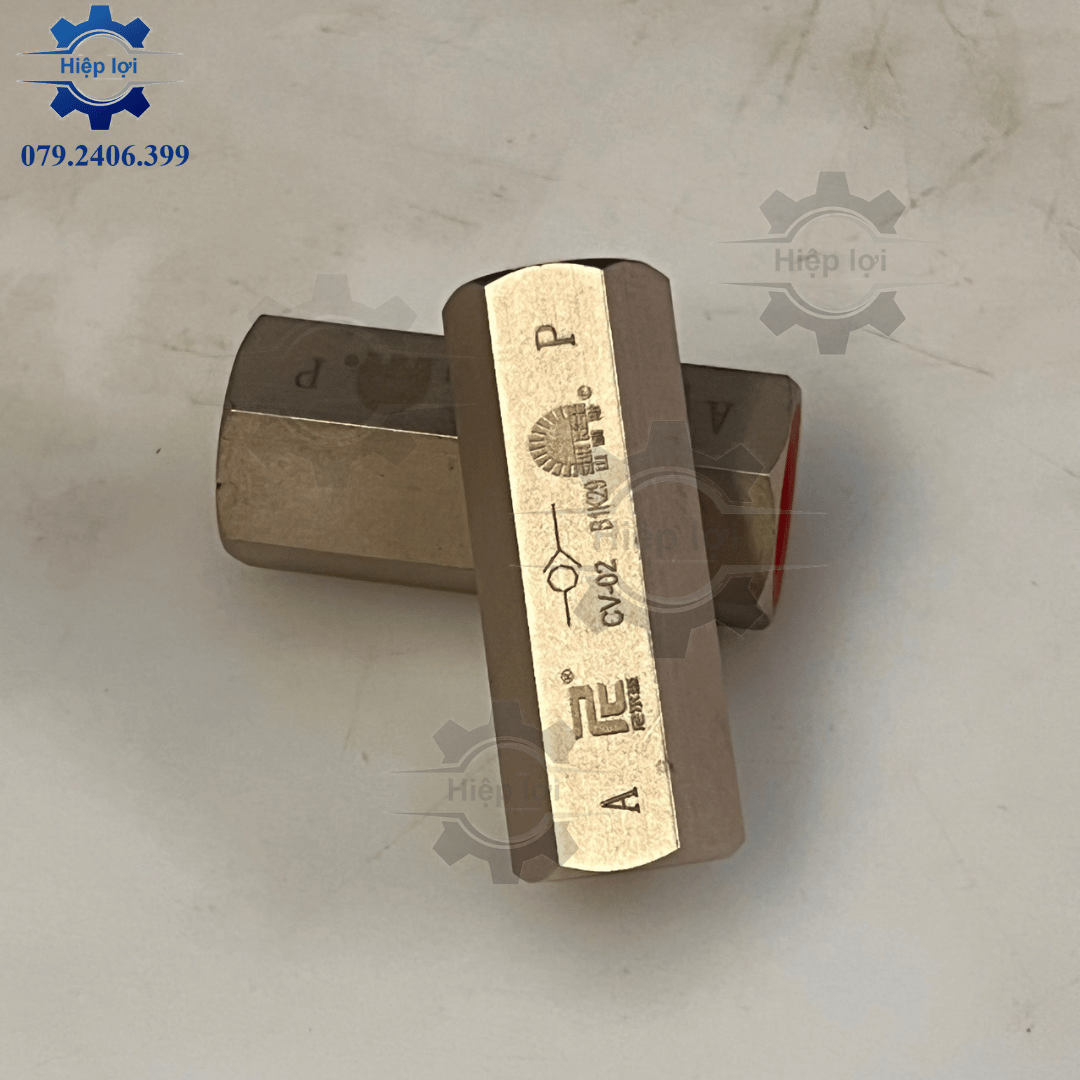 Van 1 chiều khí nén sunrise - van 1 chiều lò xo ren trong - van 1 chiều hơi, khí, gas