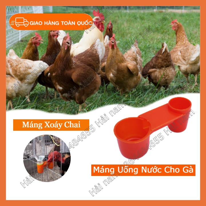 COMBO 10 MÁNG UỐNG NƯỚC XOÁY CHAI CHO GÀ-PHỤ KIỆN ĂN UỐNG CHO CHIM GÀ GIÁ RẺ