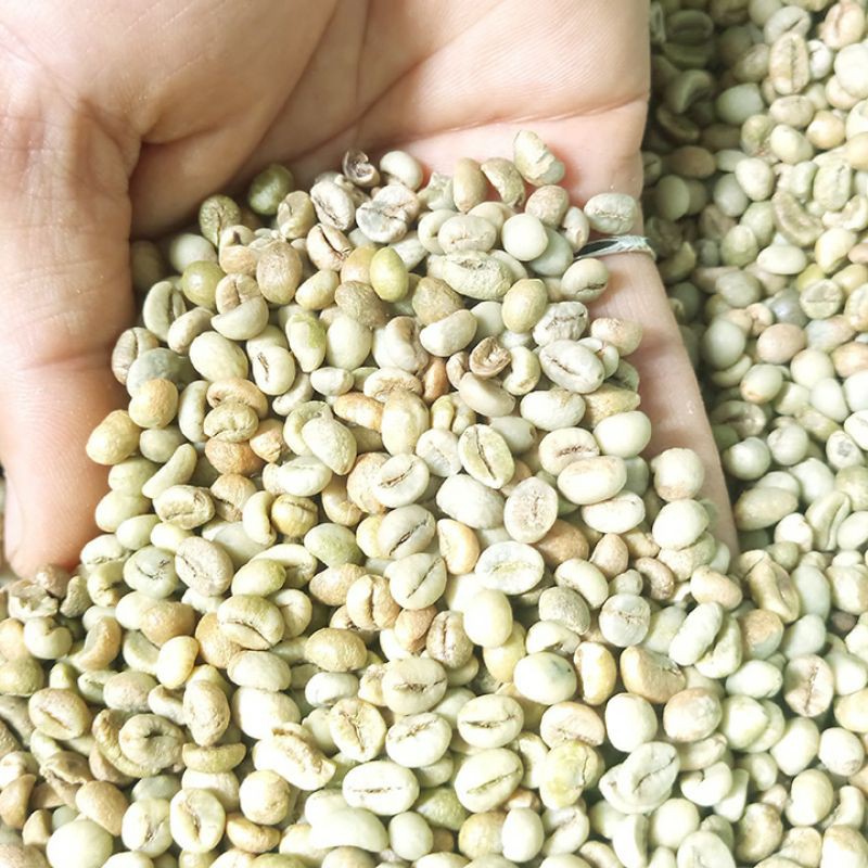 1kg nhân cà phê arabica cây giống siêu sớm có bảo hành