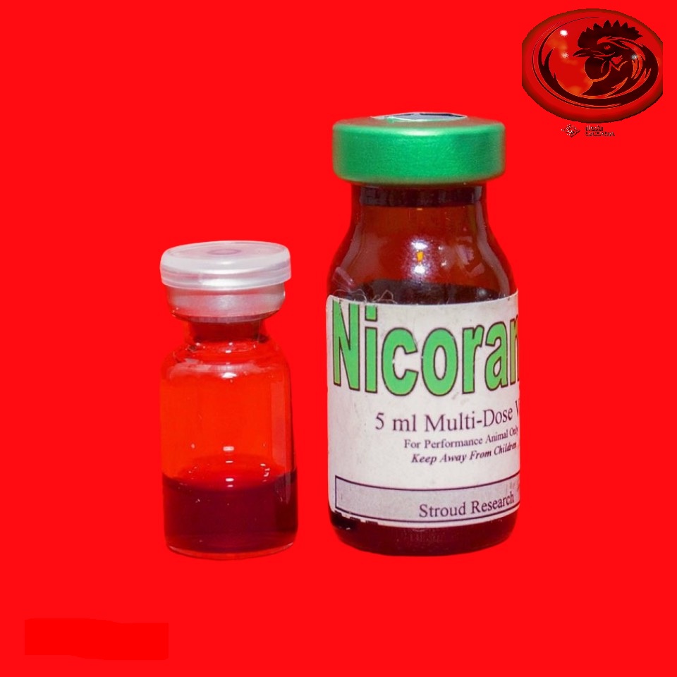 Nicoramin đá tiền lớn dành cho gà nạp 1cc